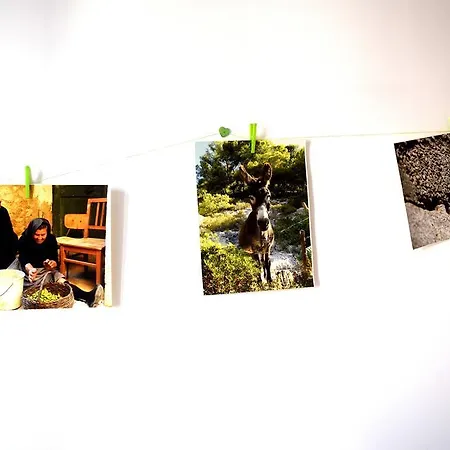 Galaxino شقة سبليت